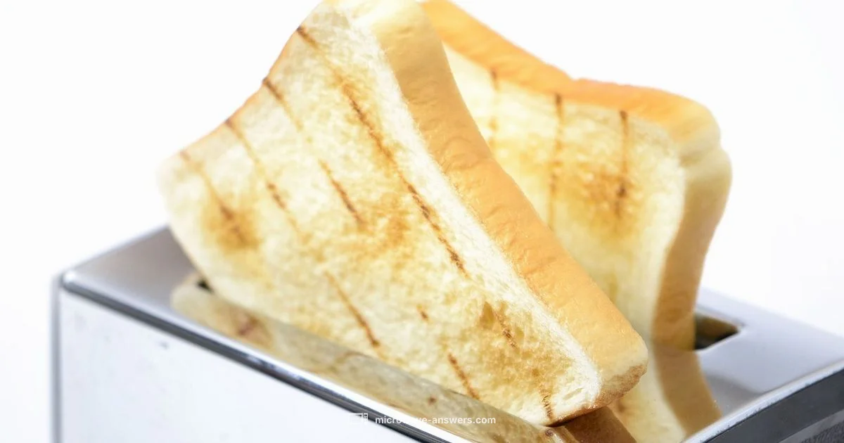 Microwave vs Toaster Oven - Microwave Answers