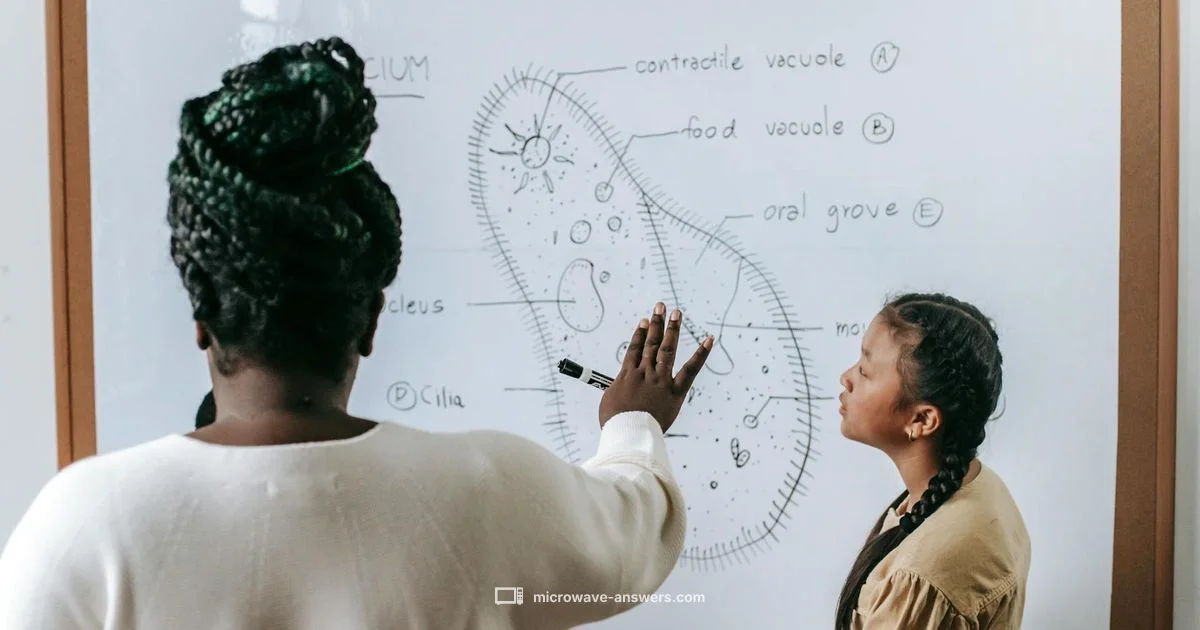 Dielectric Heating - Microwave Answers